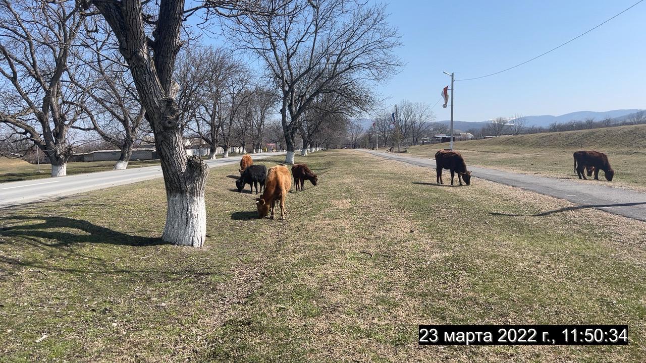 PHOTO 2022 03 23 12 52 47